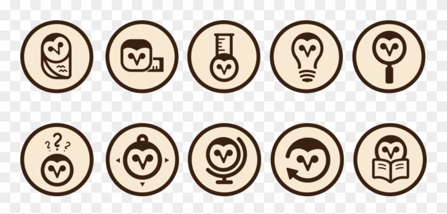 880x422 Guiding Curiosity Icons