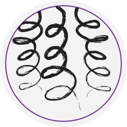 250x250 Type Curly Hair