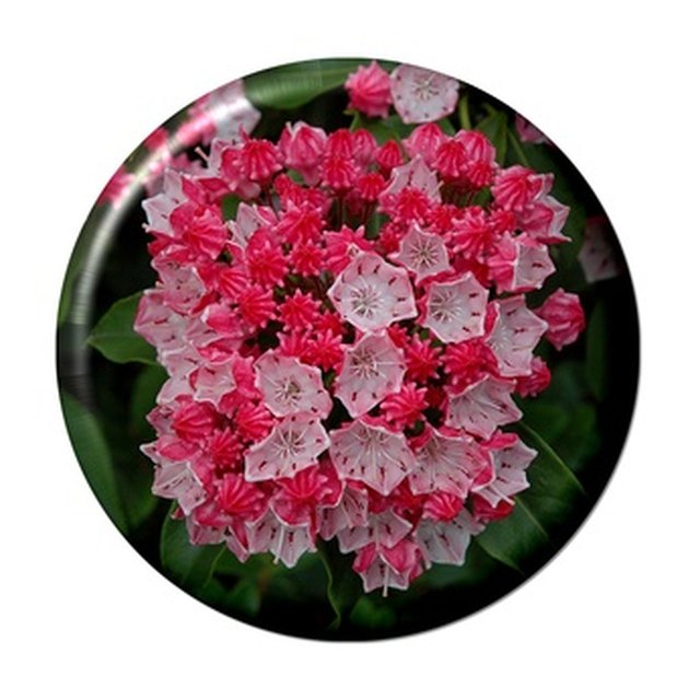 640x640 How To Create A Custom Desktop Icon