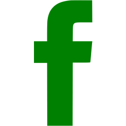 256x256 Green Facebook Icon