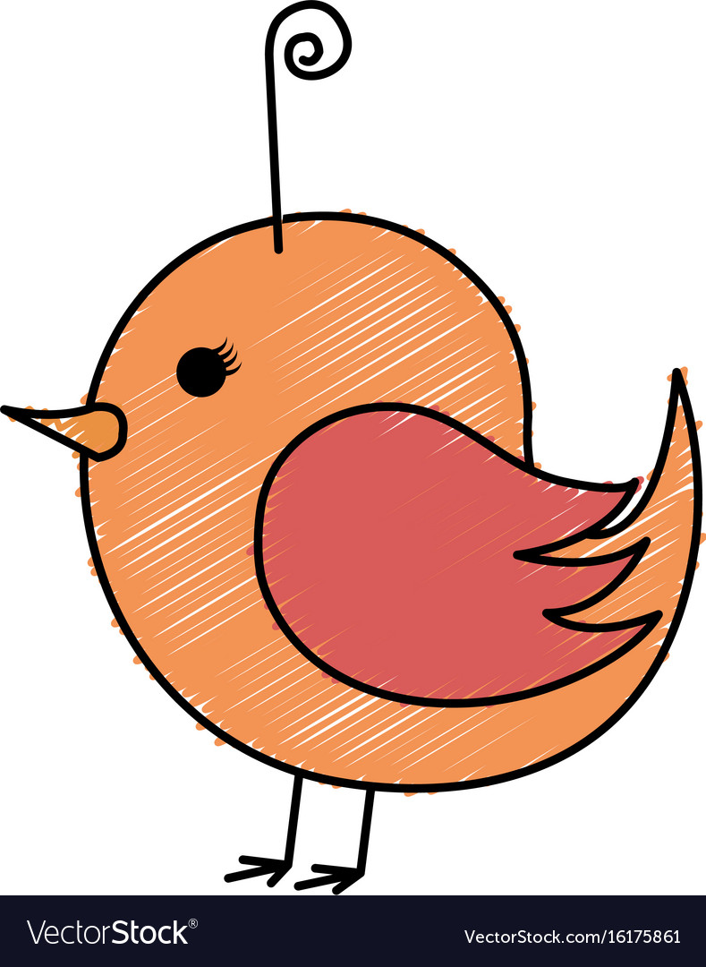 789x1080 Collection Of 'cute Bird Drawing' Download More Than Images