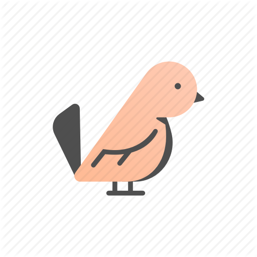 512x512 Animal, Bird, Cute, Parakeet, Parrot, Pet, Pets Icon