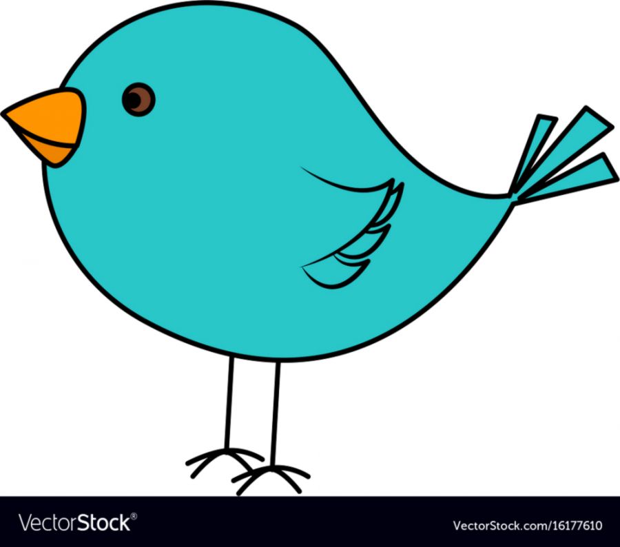 900x794 Bird Drawing Wallpapers Just Do It