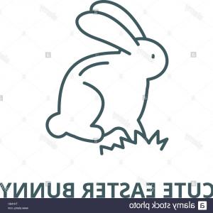 300x300 Cute Bunny Face On White Vector Cqrecords