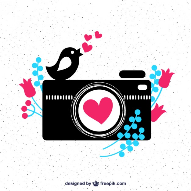 626x626 Cute Camera And A Bird Vector Free Download
