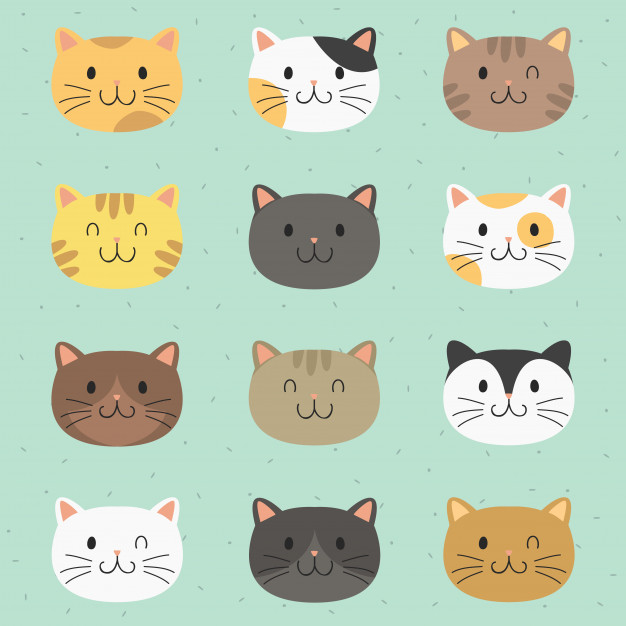 Cute Cats Icon Vector Collection Vector Premium Download 626x626 Cute Cats Icon Vector Collection Vector Premium Download