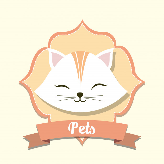 Emblem With Decorative Ribbon And Cute Cat Icon Over White 626x626 Emblem With Decorative Ribbon And Cute Cat Icon Over White