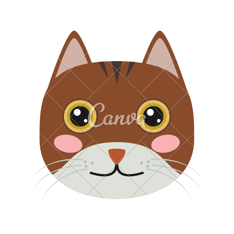 Isolated Cute Cat Icon 800x800 Isolated Cute Cat Icon
