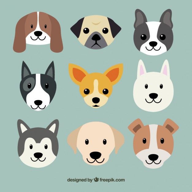 Cute Dog Breeds Vector Free Download 626x626 Cute Dog Breeds Vector Free Download
