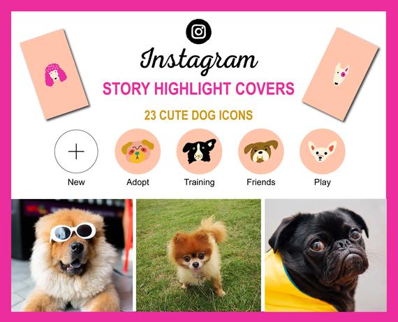 Instagram Story Highlight Dog Icon Covers Cute Dog Breed Etsy 570x461 Instagram Story Highlight Dog Icon Covers Cute Dog Breed Etsy