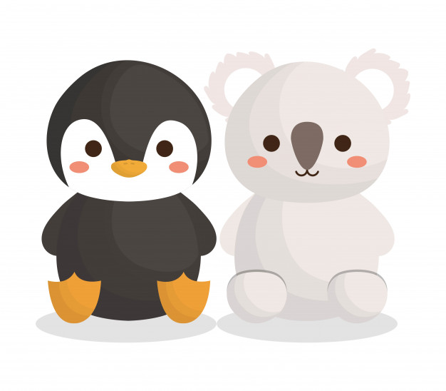 626x548 Cute Penguin And Koala Animals Icon Vector Premium Download