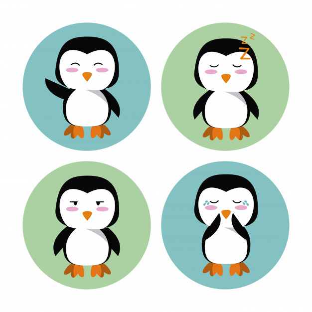 626x626 Cute Penguin Cartoon Icons Vector Premium Download