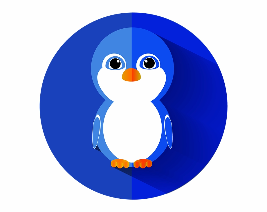 920x733 Penguin Bird Flat Icon Cute