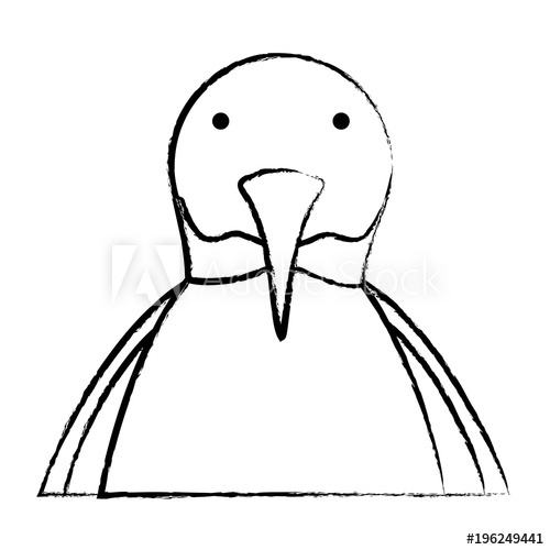 500x500 Sketch Of Cute Pengun Over White Background, Vector