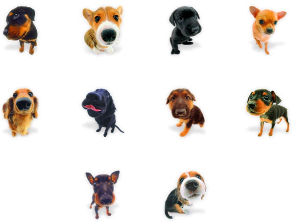 596x453 Cute Pet Dog Png Icons My Free Photoshop World