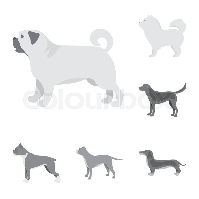 800x800 Vector Design Of Cute And Puppy Icon Stock Vector Colourbox