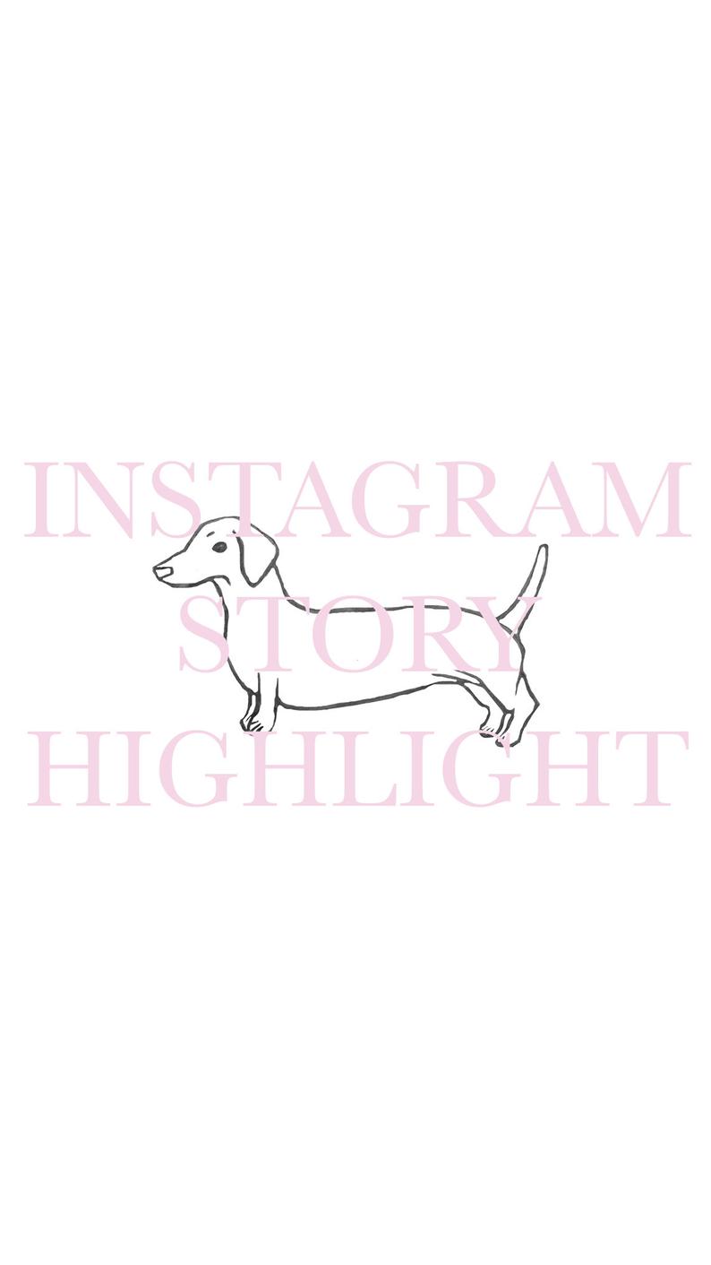 Dachshund Sausage Dog Icon Instagram Highlight Cover Etsy 794x1411 Dachshund Sausage Dog Icon Instagram Highlight Cover Etsy