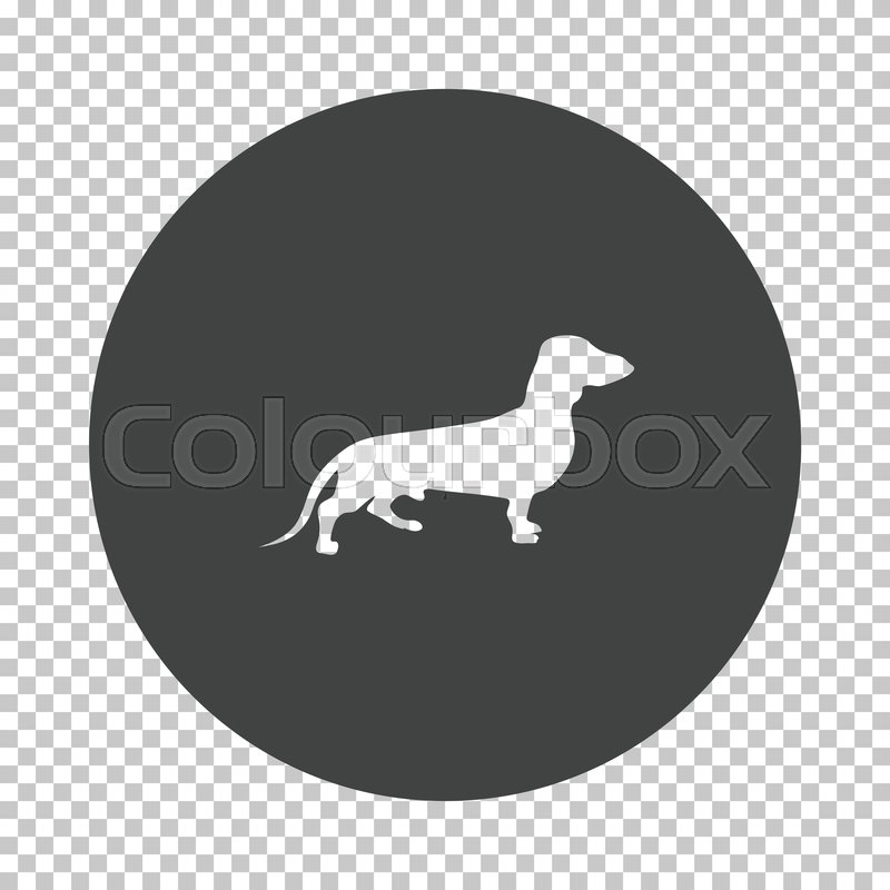 Dachshund Dog Icon Subtract Stencil Stock Vector Colourbox 800x800 Dachshund Dog Icon Subtract Stencil Stock Vector Colourbox