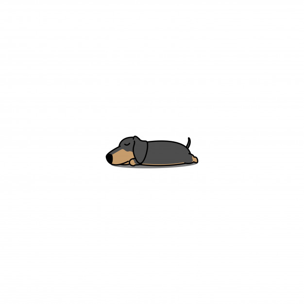 Dachshund Dog Sleeping Icon Vector Premium Download 626x626 Dachshund Dog Sleeping Icon Vector Premium Download
