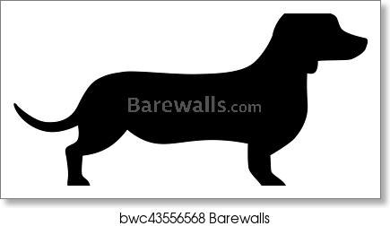 Dachshund Icon, Art Print Barewalls Posters Prints 435x252 Dachshund Icon, Art Print Barewalls Posters Prints