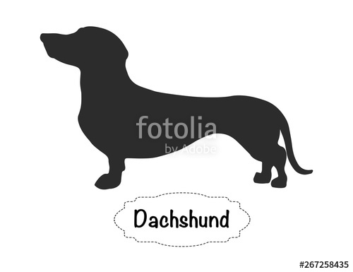 Dachshund Icon Stock Image And Royalty Free Vector 500x385 Dachshund Icon Stock Image And Royalty Free Vector