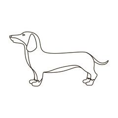 Dachshund Icon In Outline Style Isolated On White Background Dog 240x240 Dachshund Icon In Outline Style Isolated On White Background Dog