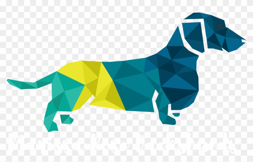 Prairie Mammal The Puppy Dachshund Icon Clipart 840x541 Prairie Mammal The Puppy Dachshund Icon Clipart