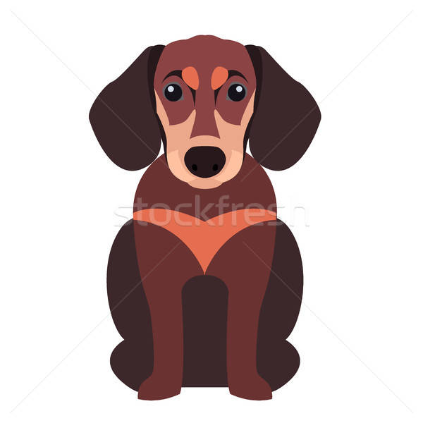 Cute Dachshund Dog Cartoon Flat Vector Icon Vector Illustration 600x600 Cute Dachshund Dog Cartoon Flat Vector Icon Vector Illustration