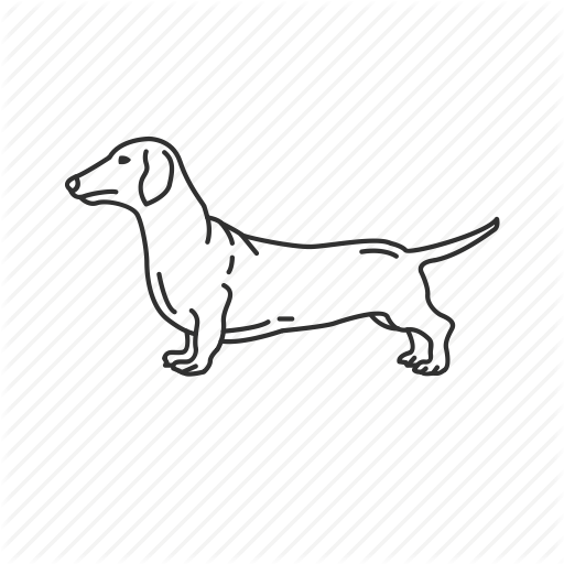 Dachshund, Dog, Dotson, Pet, Puppy, Small Land Mammal, Wiener Dog Icon 512x512 Dachshund, Dog, Dotson, Pet, Puppy, Small Land Mammal, Wiener Dog Icon