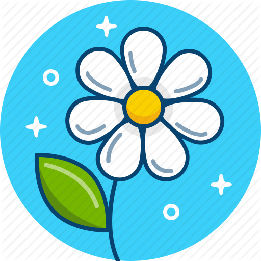 512x512 Camomile, Daisy, Flower, Spring Icon