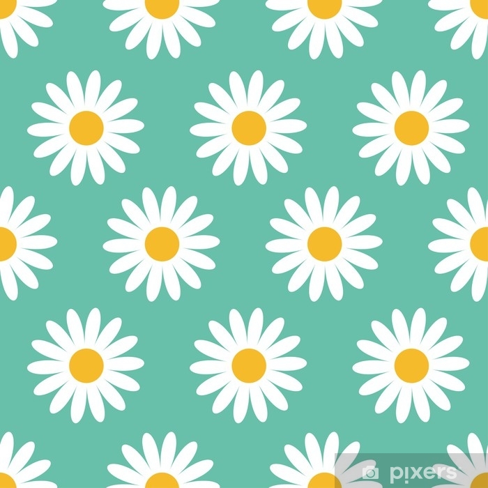 700x700 Cute Camomile Plant Collection Seamless Pattern White Daisy