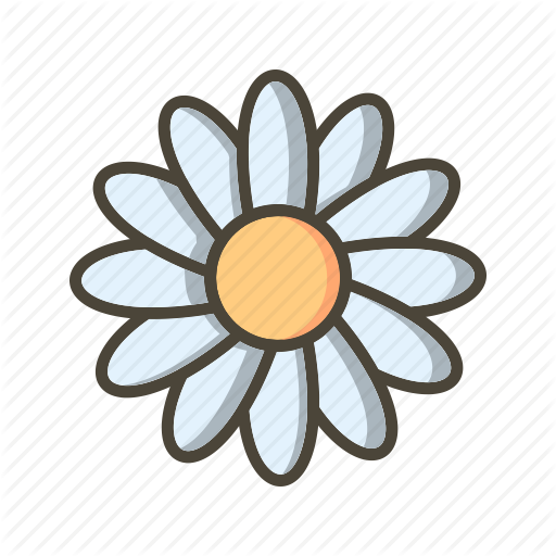 512x512 Daisy, Flower, Garden Icon