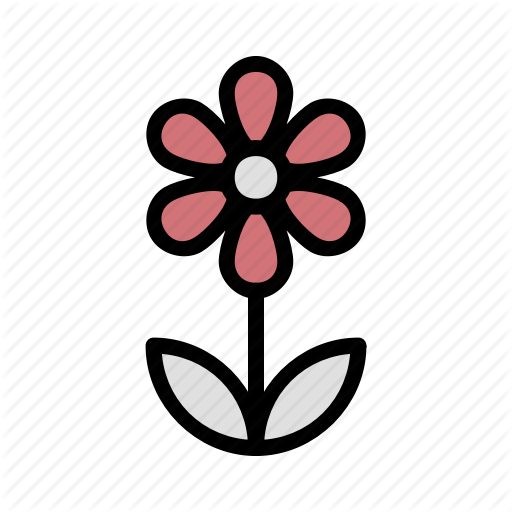 512x512 Daisy, Flower, Love, Present, Romance, Valentine Icon