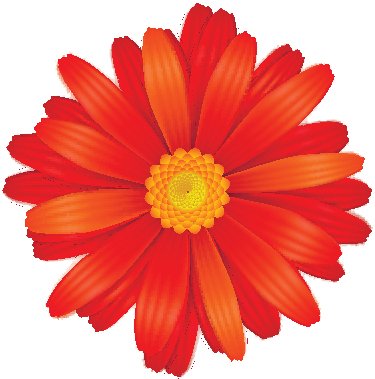 375x379 Beautiful Vibrant Spring Gerber Daisy Flower Icon