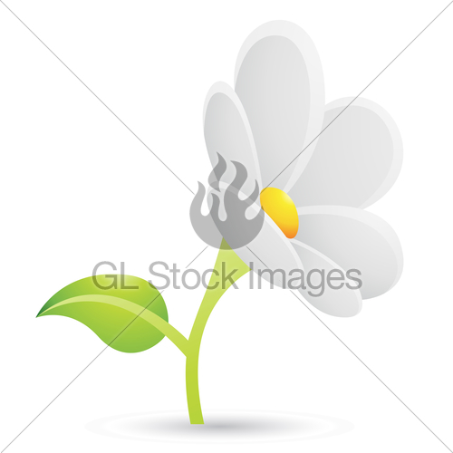500x500 White Daisy Flower Icon Gl Stock Images