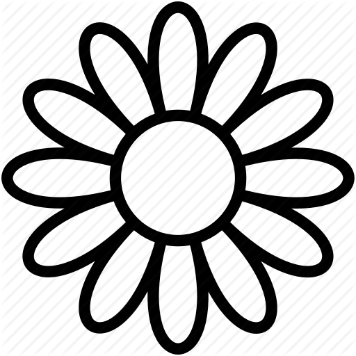 512x512 Bloom, Chinese Flower, Daisy, Daisy Flower, Flower Icon