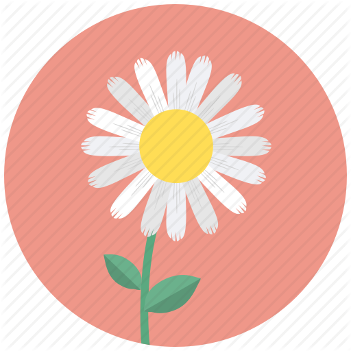 512x512 Blossom, Camomile, Daisy, Flower, Plant Icon