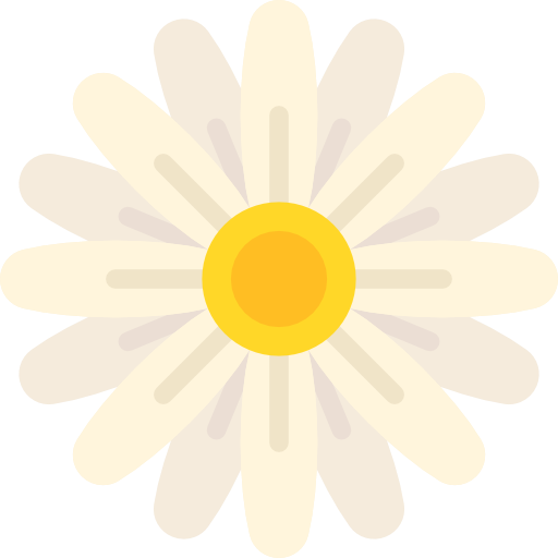 512x512 Botanical, Nature, Daisy, Blossom, Petals, Flower Icon