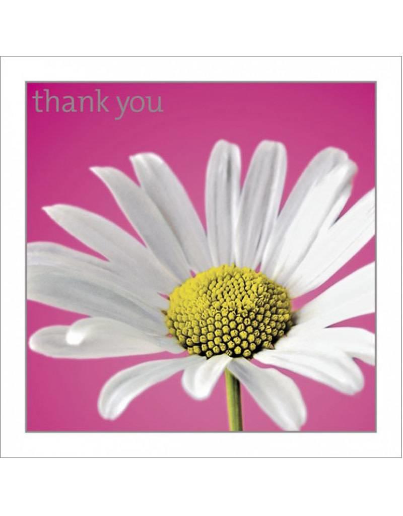800x1024 Icon Daisy Thank You