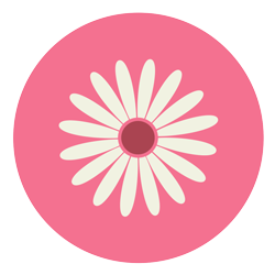 250x250 Daisy Icon