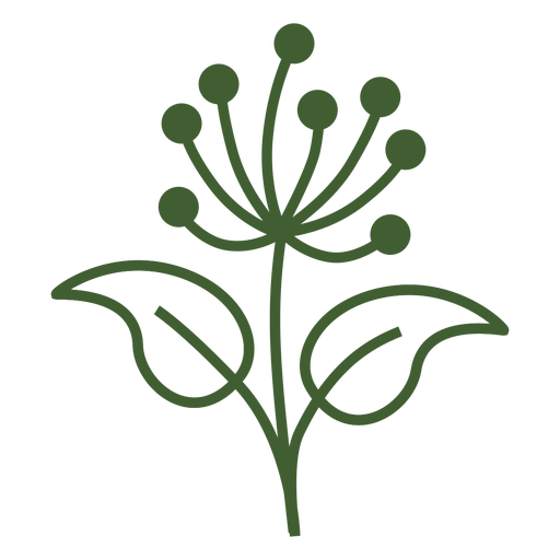 512x512 Dandelion Flower Icon