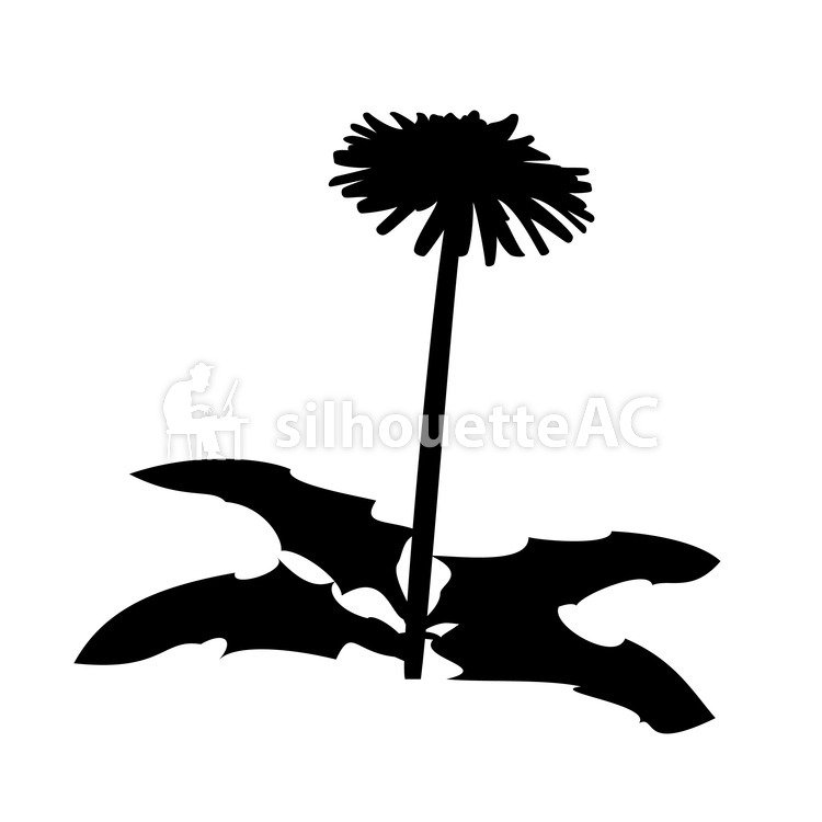 750x750 Free Silhouette Vector Dandelion Icon Simple
