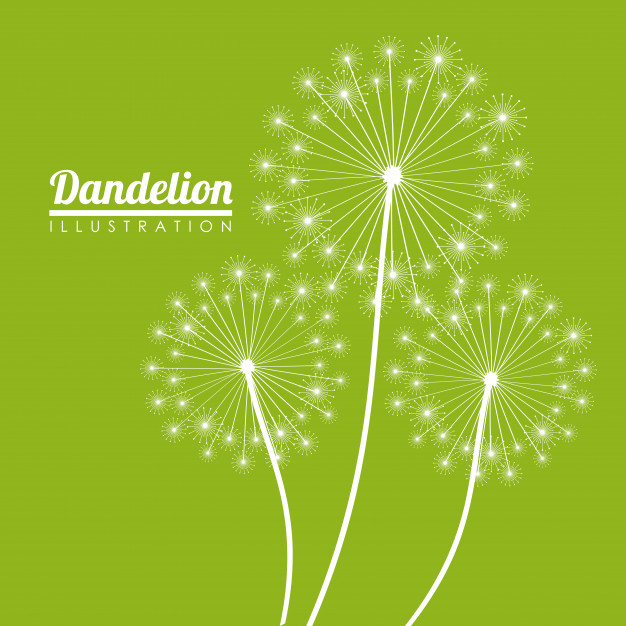 626x626 White Dandelion Icon Vector Premium Download