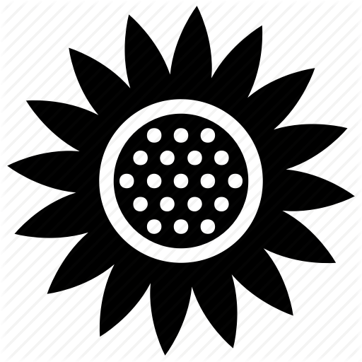 512x512 Coneflower, Dandelion, Flower, Goldenrod, Sunflower Icon