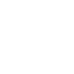256x256 Free White Darth Vader Icon