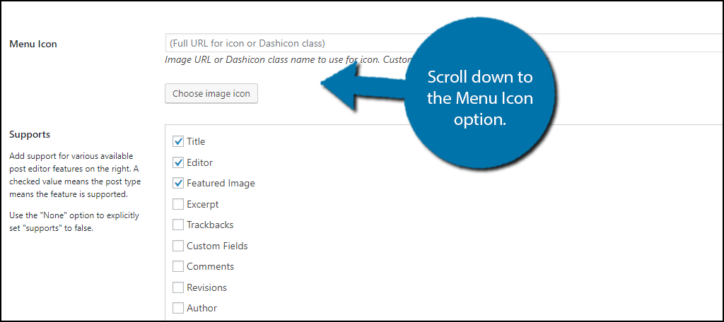 1024x456 How To Insert Custom Icons For Custom Post Types In Wordpress