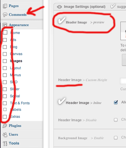 429x505 Theme Development