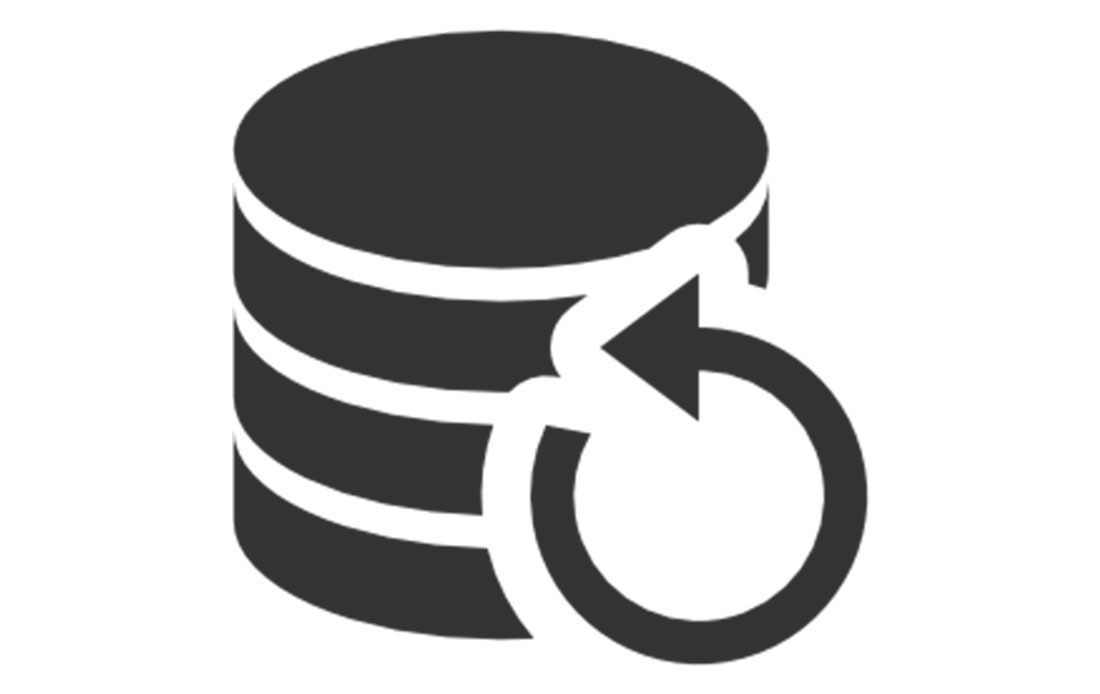 1100x694 Data Data Backup Icon