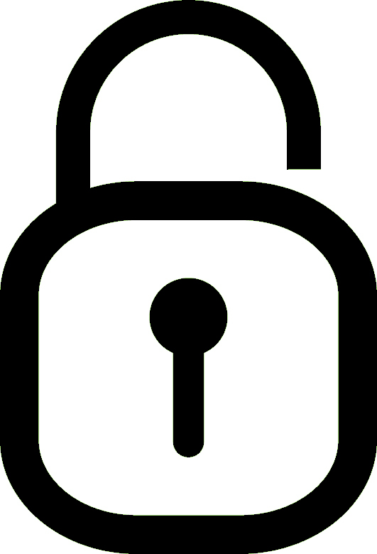 Data Security Icon 531x780 Data Security Icon