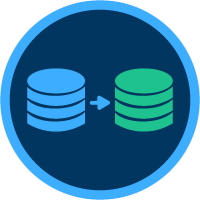Data Capture Icon at Vectorified.com | Collection of Data Capture Icon ...
